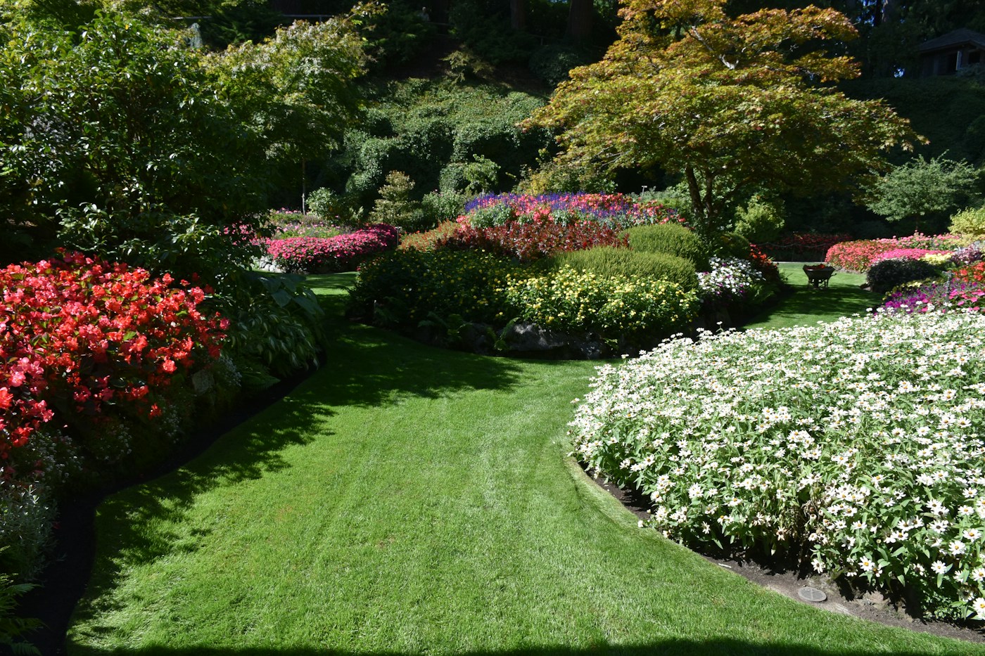 Jardin fleuri et pelouse entretenue — photo d’illustration